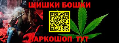 амф Сланцы