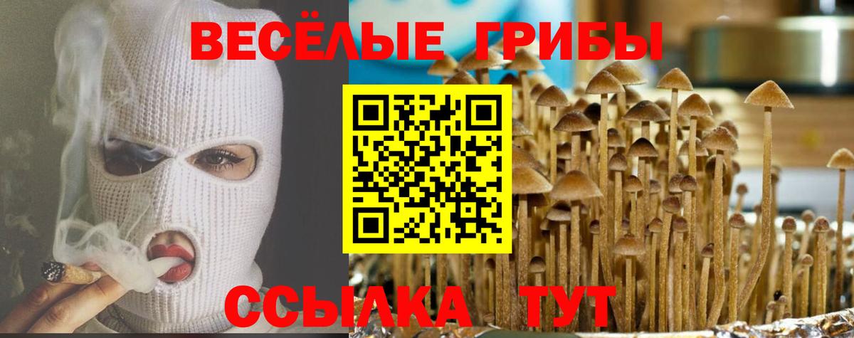 Псилоцибиновые грибы Magic Shrooms  Псилоцибиновые грибы Psilocybine cubensis  Вход с VPN  Северск 