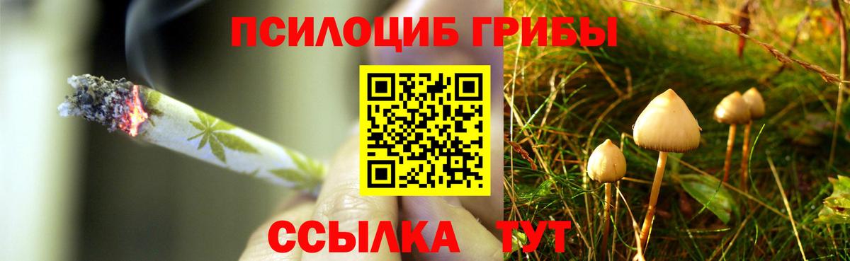 Галлюциногенные грибы мицелий Северск